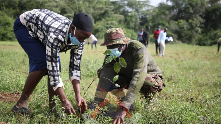 KDF PARTNERS WITH KFS TO PLANT 1500 TREES.