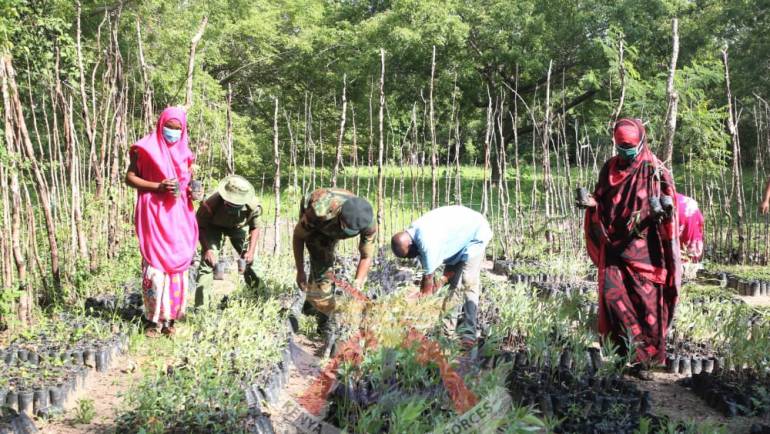 KENYA FOREST SERVICE EMPOWERS LOCALS IN LAMU TO CONSERVE NATURAL HERITAGE
