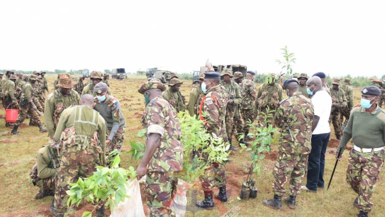KDF TREE PLANTING EXERCISE