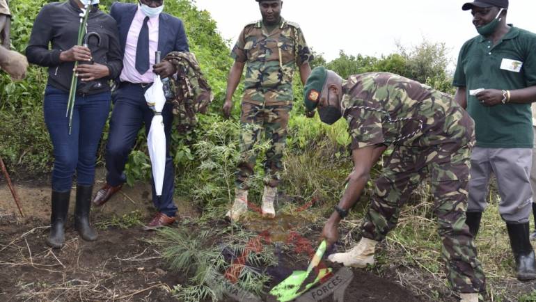 MAU WATER TOWER REFORESTATION PROJECT