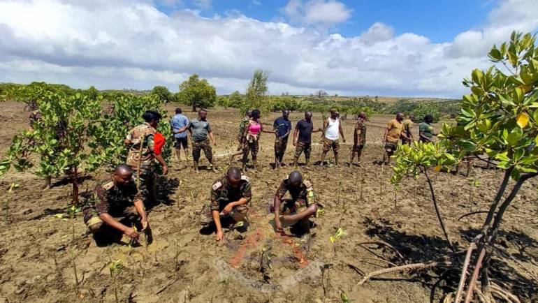 KDF TAKES PART IN MANGROVES TREE PLANTING EXERCISE