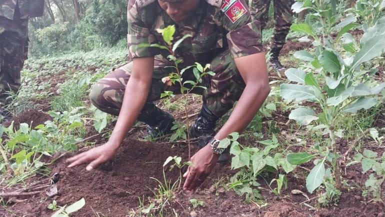 KDF PARTNERS WITH KFS IN TREE PLANTING EXERCISE