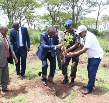 CONCERTED EFFORT TO INCREASE THE FOREST COVER IN JKUAT