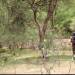 OPERATION MALIZA UHALIFU COMMANDERS CONDUCT A SECURITY ASSESSMENT IN BARINGO COUNTY.