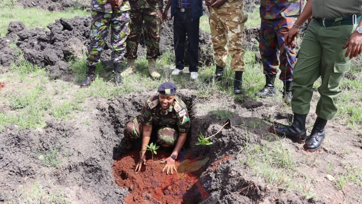 FRUIT ORCHARD FOR NATIONAL SECURITY TELECOMMUNICATIONS SERVICE AT EMBAKASI GARRISON