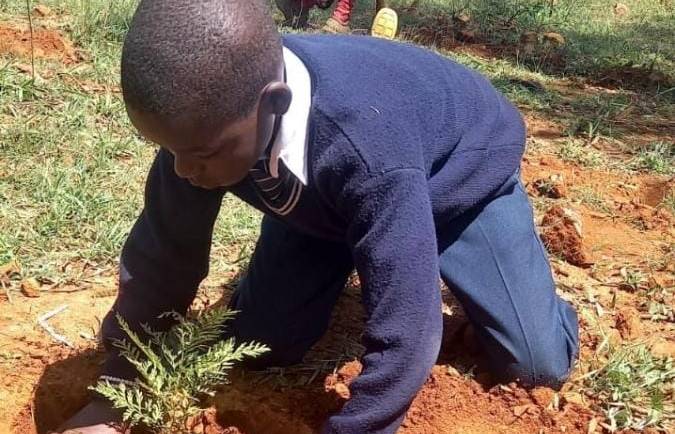 OPERATION MALIZA UHALIFU TEAM ENGAGES IN A  PLANTING INITIATIVE IN LAIKIPIA COUNTY