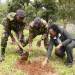JOINT COMMAND AND STAFF COLLEGE (JCSC) PARTNERS WITH KINGDOM BANK IN TREE GROWING EVENT