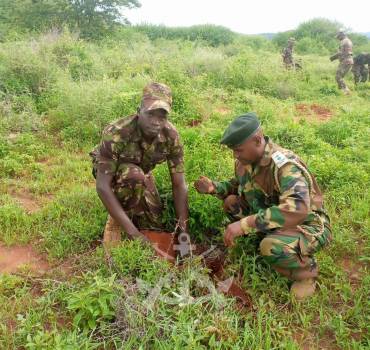 COLLABORATING FOR ENVIRONMENTAL CONSERVATION IN MOYALE