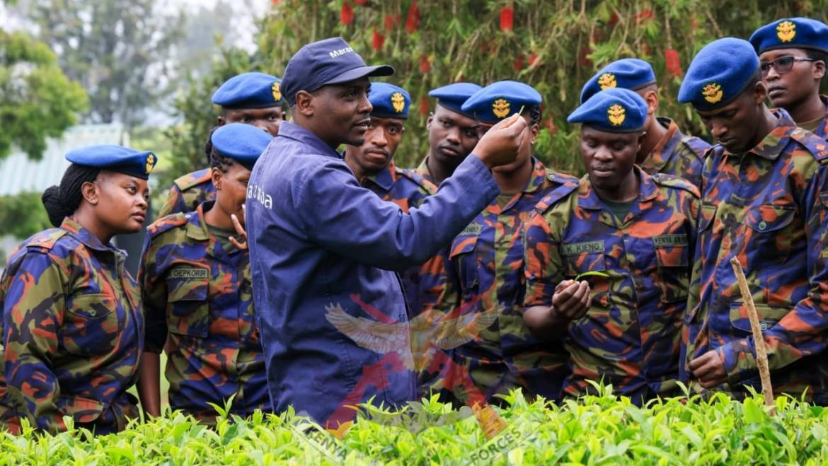 JUNIOR OFFICERS ON INDUCTION COURSE VISIT TEA