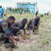 MOI AIR BASE PARTICIPATES IN TREE PLANTING EXERCISE